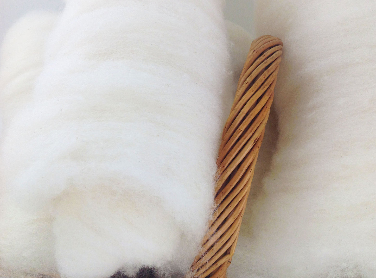 Texel Beltex British Wool Fleece. Hand Washed Carded Batts for Hand Spinning, Felting, Needle Felting